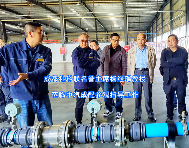 成都社科联名誉主席杨继瑞教授莅临中汽成配参观指导工作