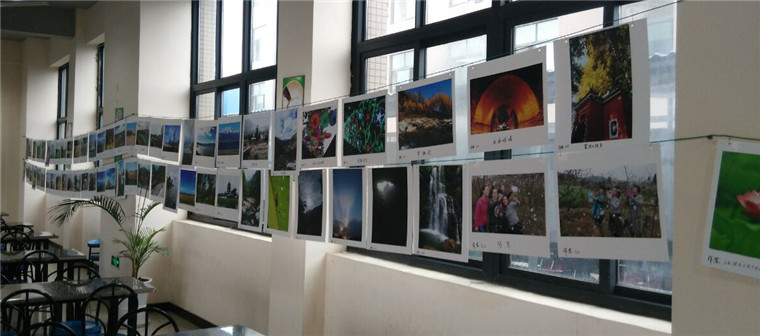 参展作品展出