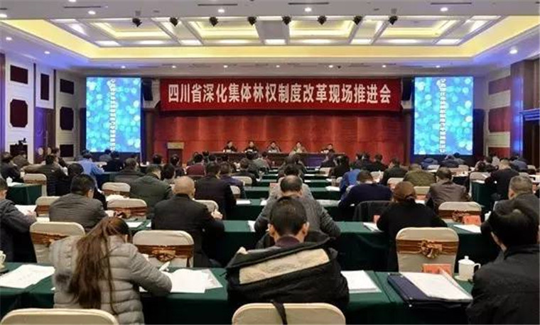 四川省集体林权制度改革现场推进会