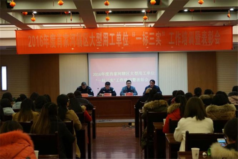 “一标三实”会议