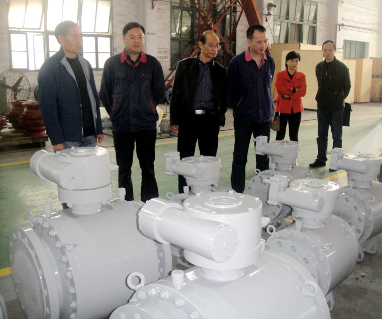 省联合会领导视察油漆包装工段